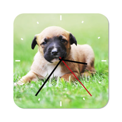 Orologio personalizzato con foto