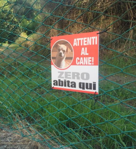 Avviso Cani Cartello Attenti Al Cane Jack Russell | Pannello In Forex 5mm Con Adesivo Vinile - Divertente E Utile Cartello Divertente - Foto 5